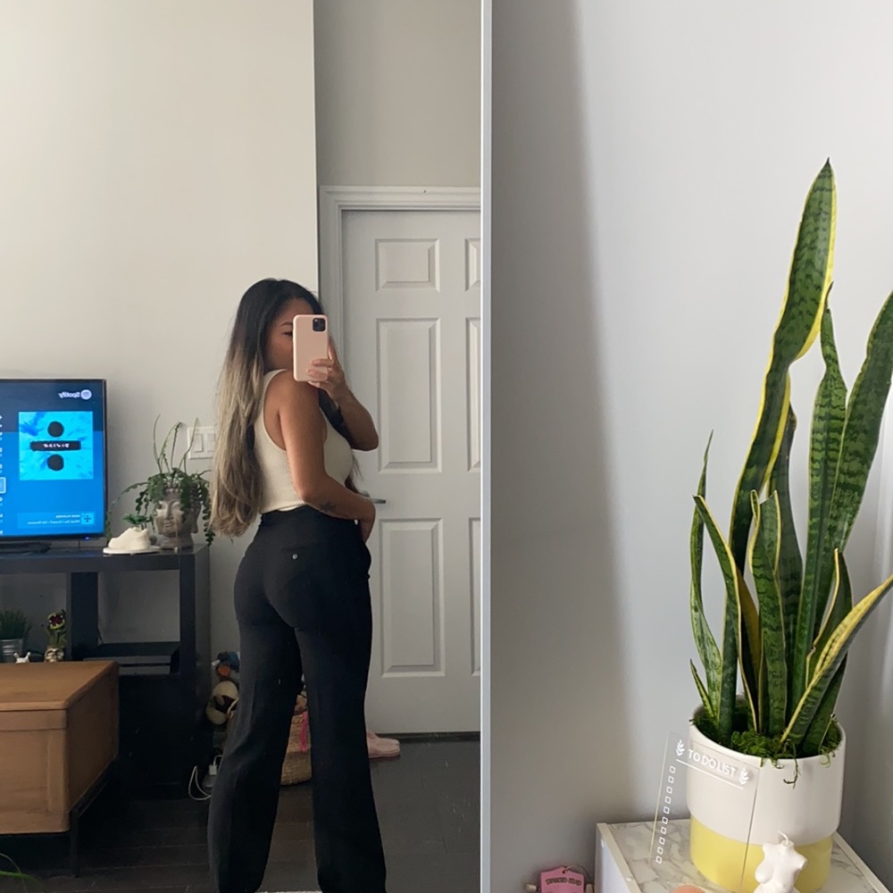 Aritzia Little Moon high waisted dress pants